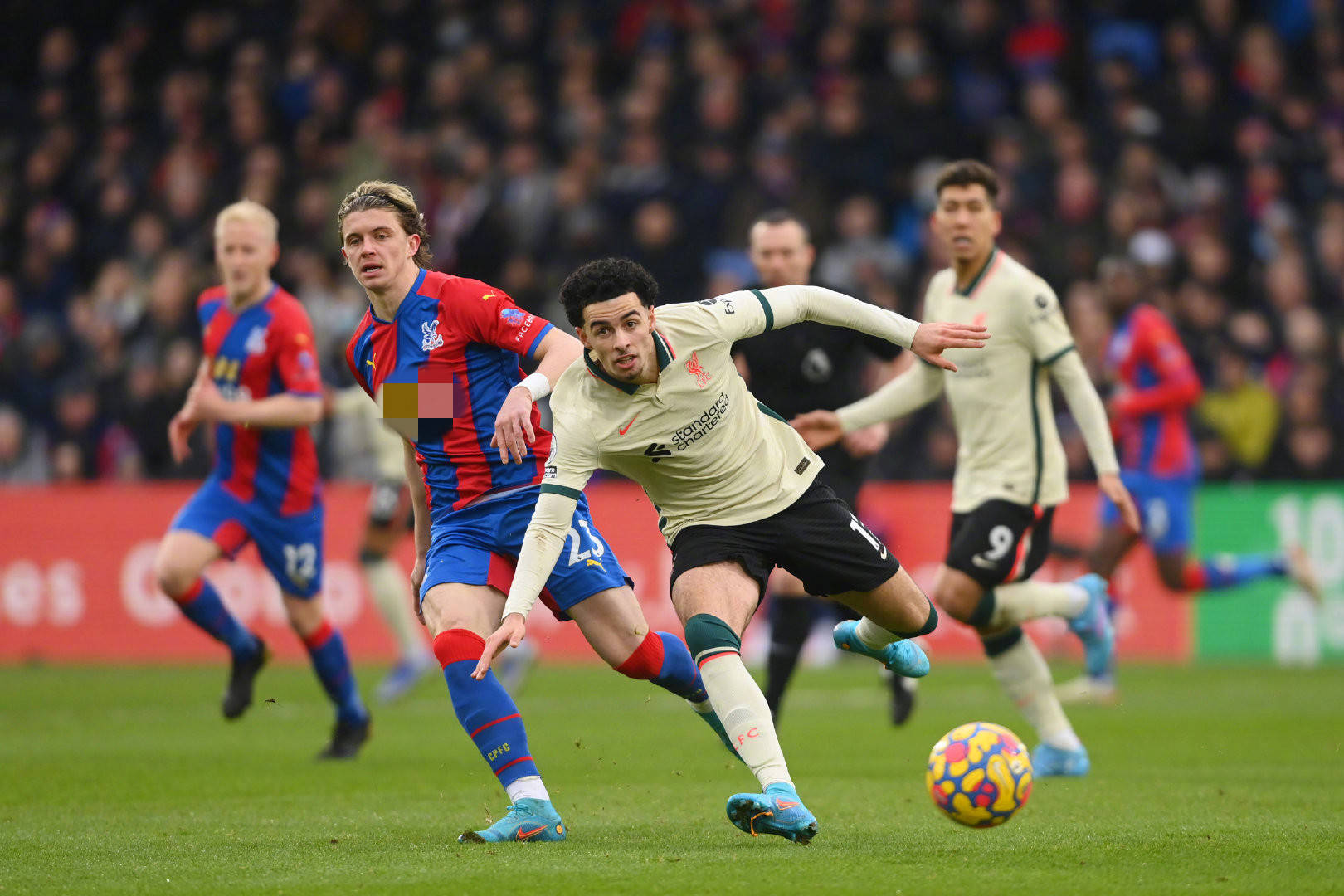 明伤害性动 明伤害性动