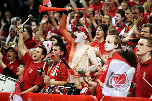 这不仅展示 这不仅展示